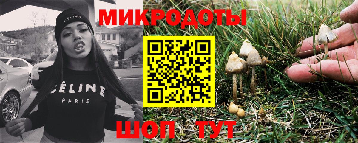 Чита  Галлюциногенные грибы мухоморы  Вход с VPN 