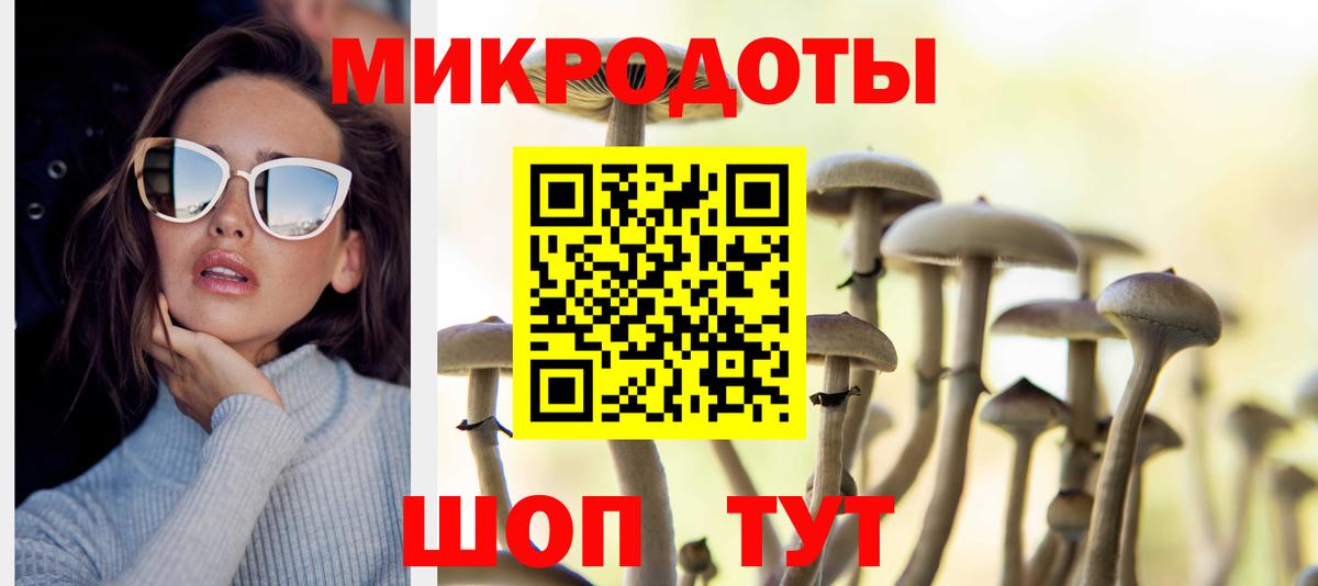 Галлюциногенные грибы Cubensis Чита